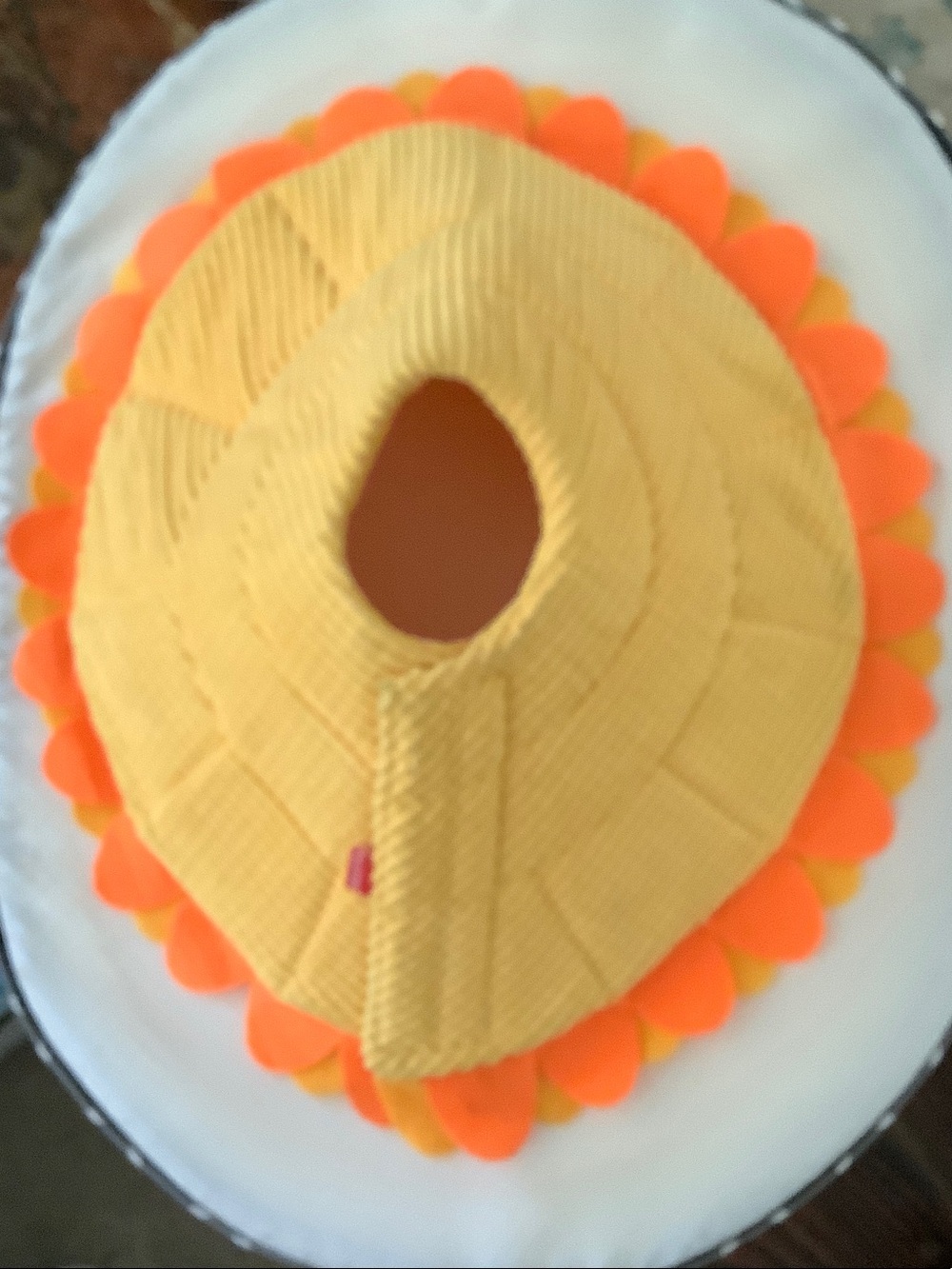 Dog Recovery Cone
 Padded flexible